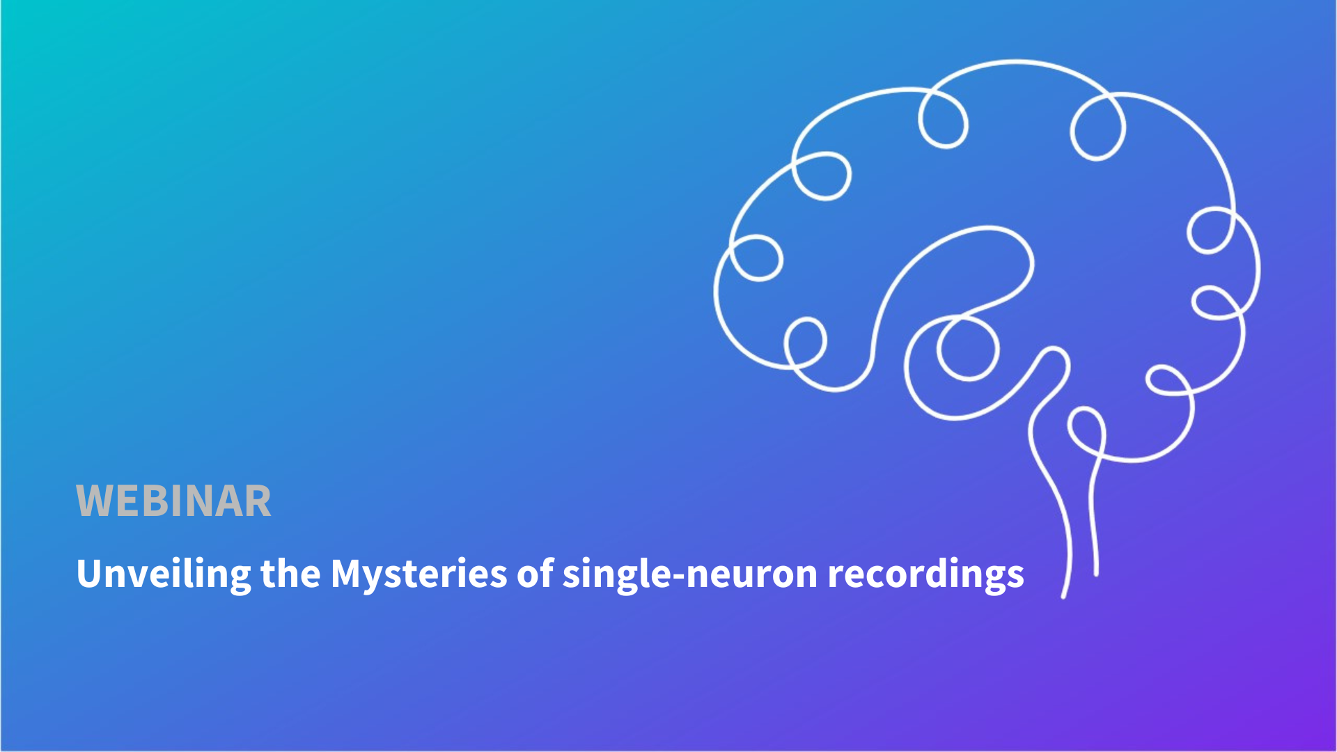 DIXI medical. Unveiling the Mysteries of single-neuron recordings